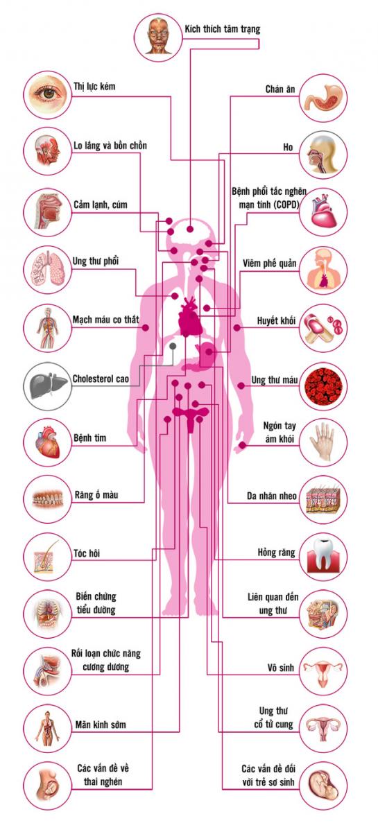 Thuốc lá ảnh hưởng tới cơ thể từ đầu tới chân như thế nào ?